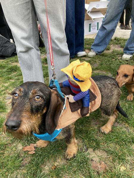 [Image: IMG-5755.jpg]