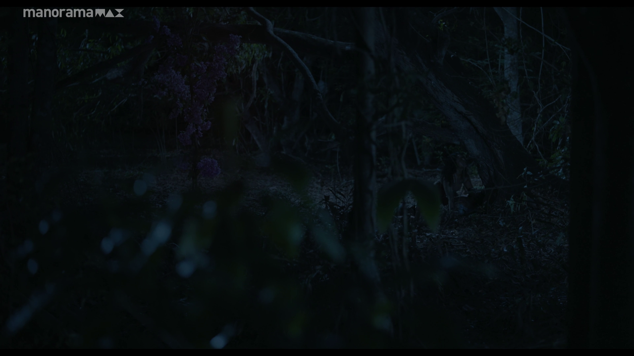 vlcsnap 2026 02 25 12h53m53s146