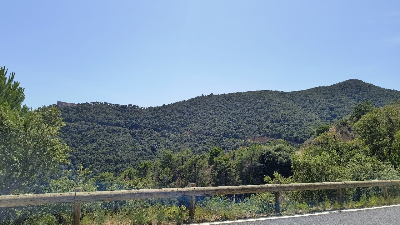 IMG 20260621 151756332