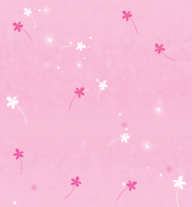 pink 26