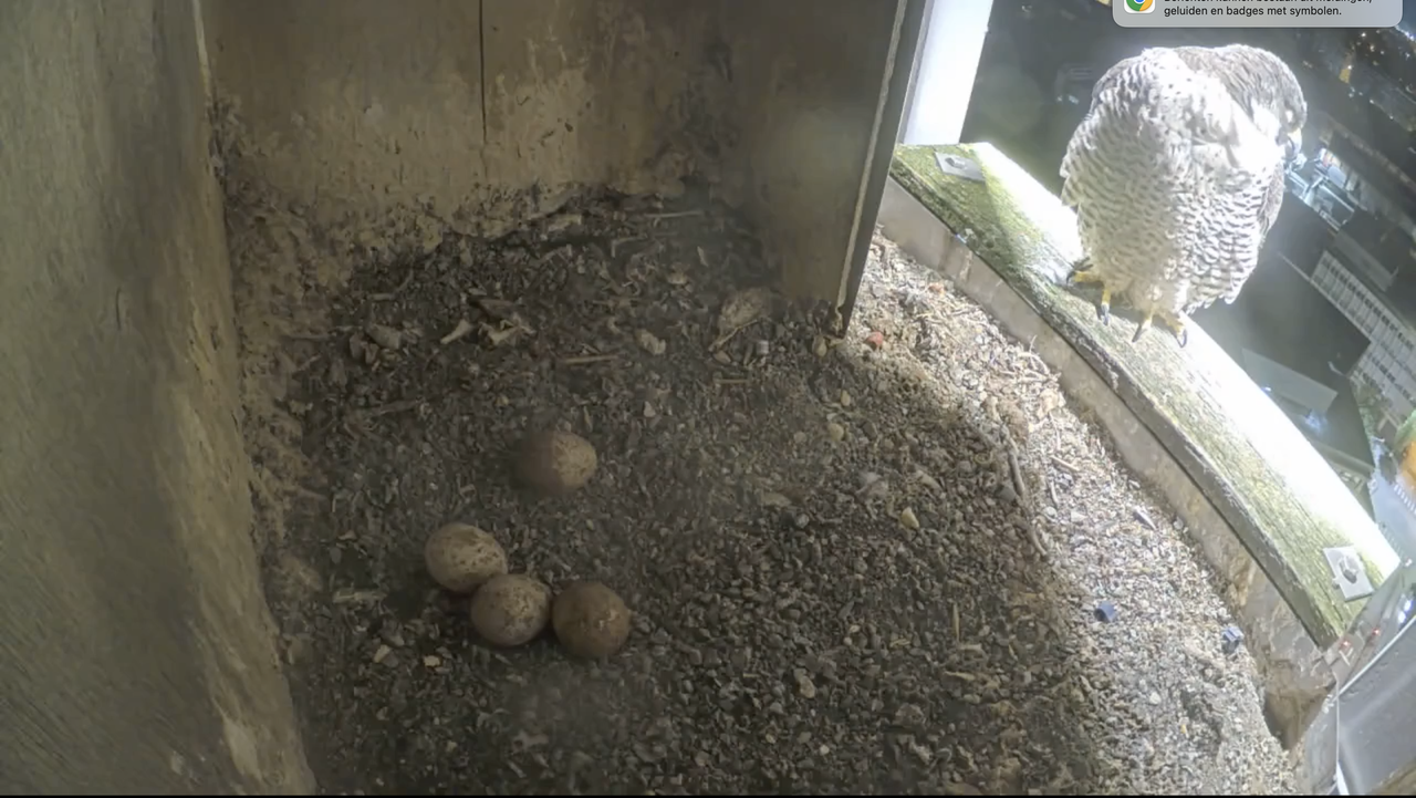 Schermafbeelding 2026 04 09 om 05 29 41