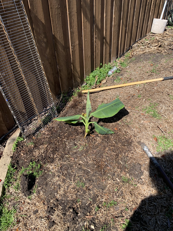 A891C8B8-F65A-4688-ACB4-B44D1FE77F03