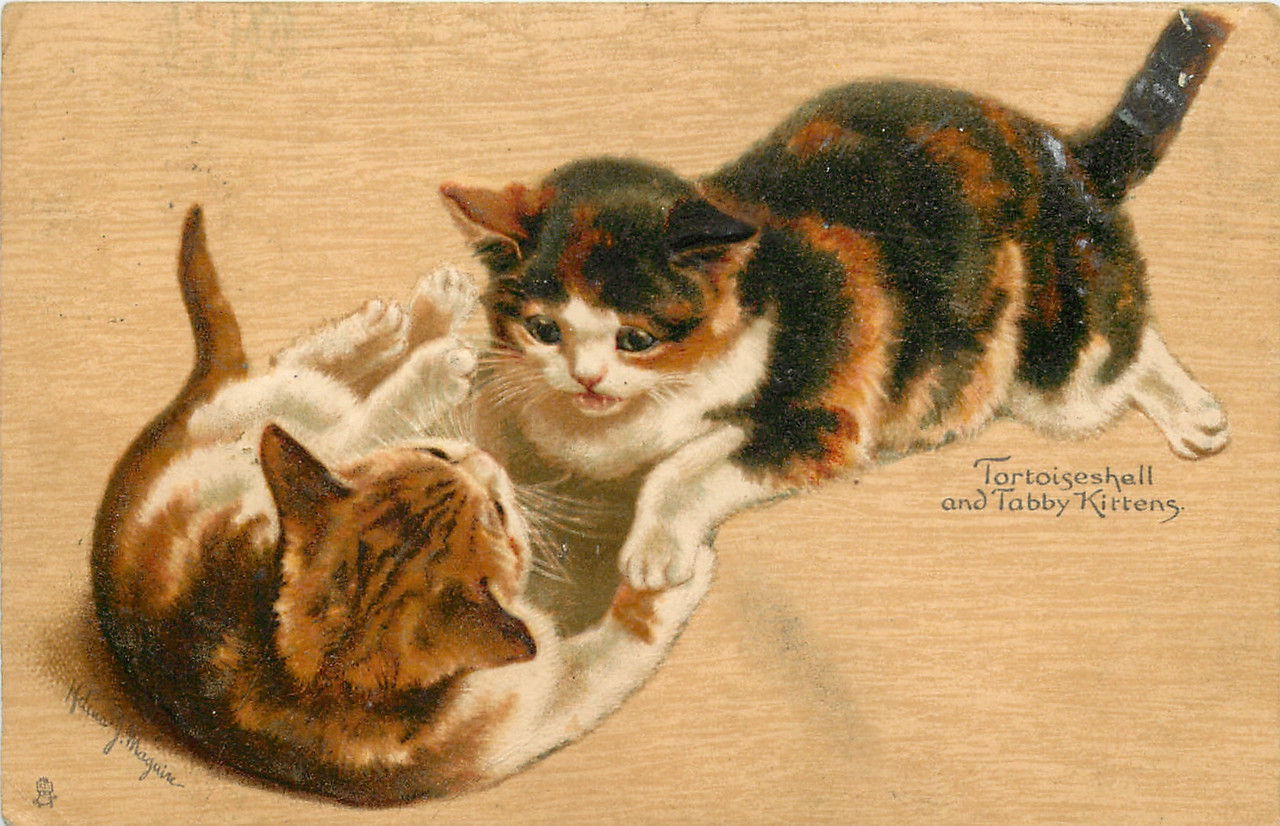 40-2011-11-28-10-26-54