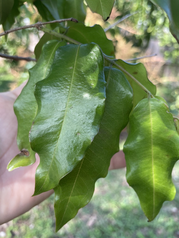 28B8CF18-FB81-4974-9B6D-A15456E0C40B