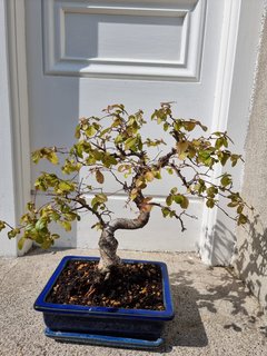 WhatsApp Image 2022-06-03 at 6.34.06 PM (2)