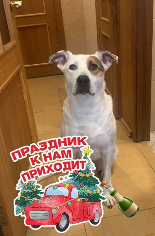 WhatsApp Image 2024-01-17 at 15.24.17 (2)