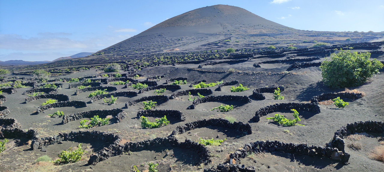 Día 2 (25 junio): Salinas de Janubio-Famara-La Geria-Atardecer - Lanzarote 2021 (6)