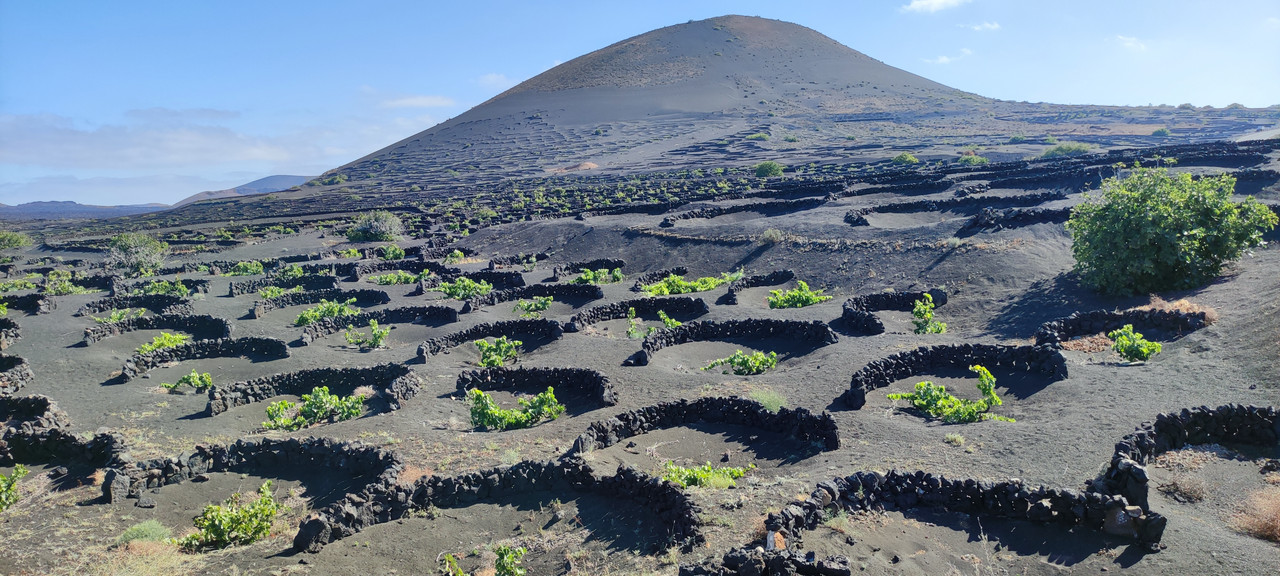 Día 2 (25 junio): Salinas de Janubio-Famara-La Geria-Atardecer - Lanzarote 2021 (6)