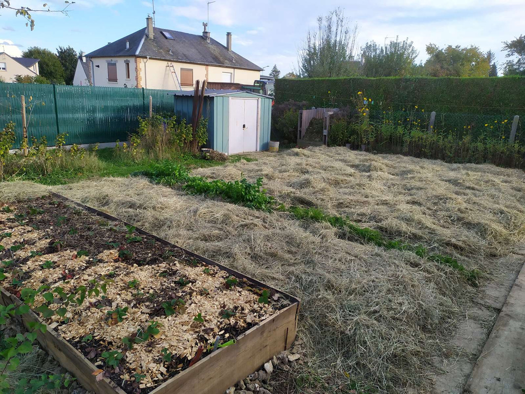 CAMPAGNE - le petit potager du Vexin Normand IMG-20221020-165044