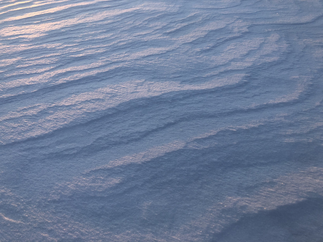 31B58C5B-C9F3-49B7-9830-FC438A8AA26C