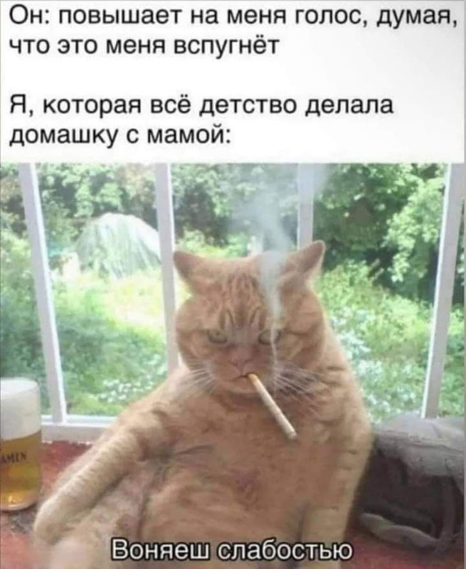 273174182_472490094489623_3893838286931269552_n