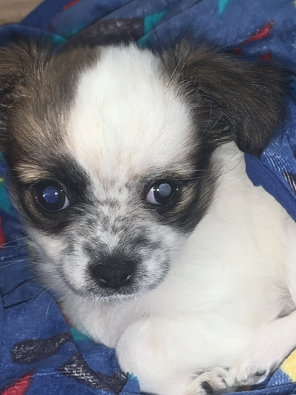 F0A20F3B-A853-41FC-84F5-0AB826EAABA5