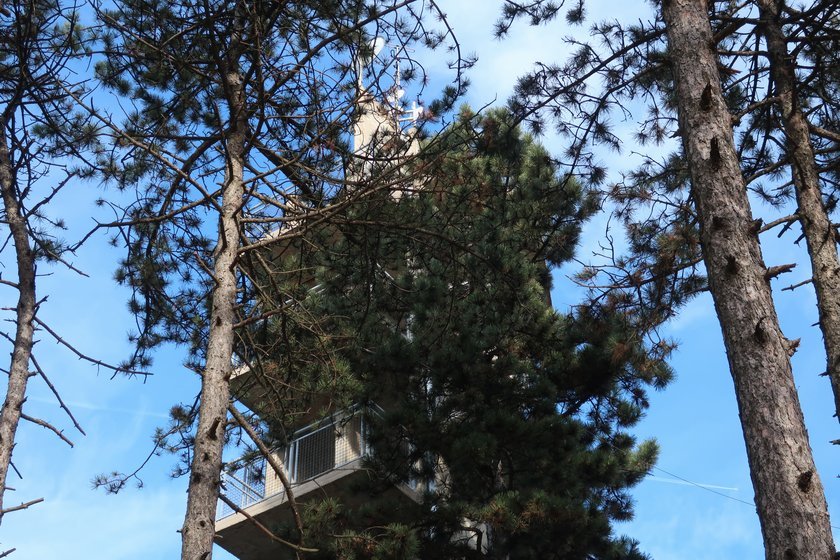 Arandjelovac2019