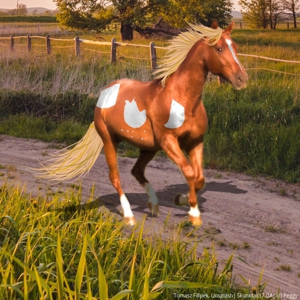 imageedit_201_6666211996.jpg