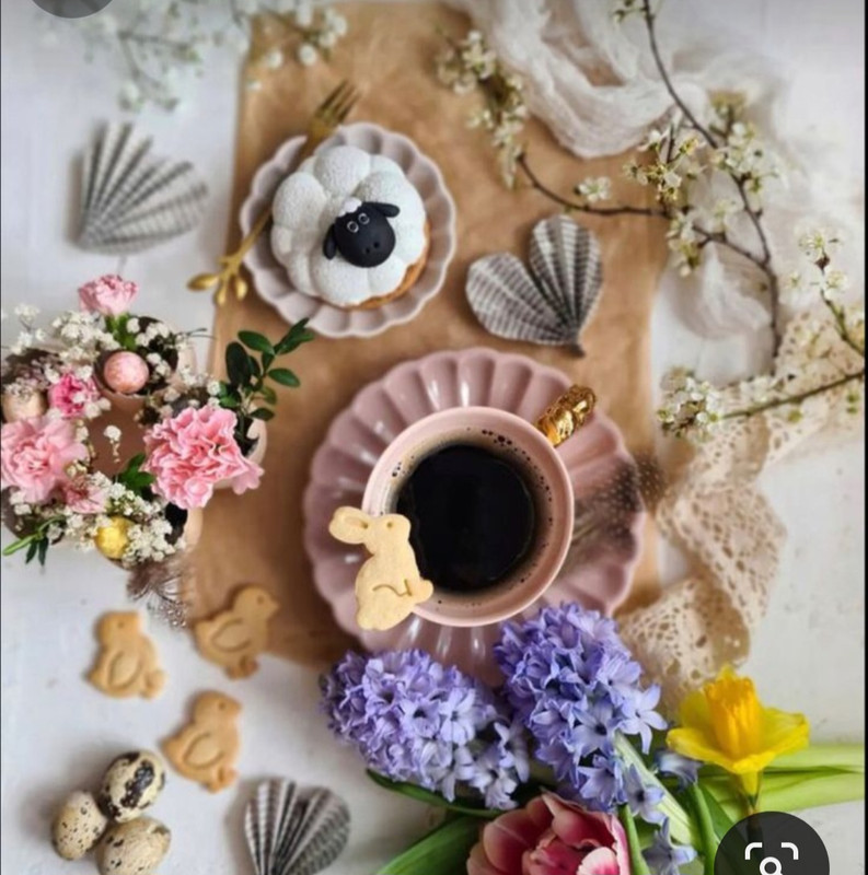 Screenshot_20240428_171123_Pinterest