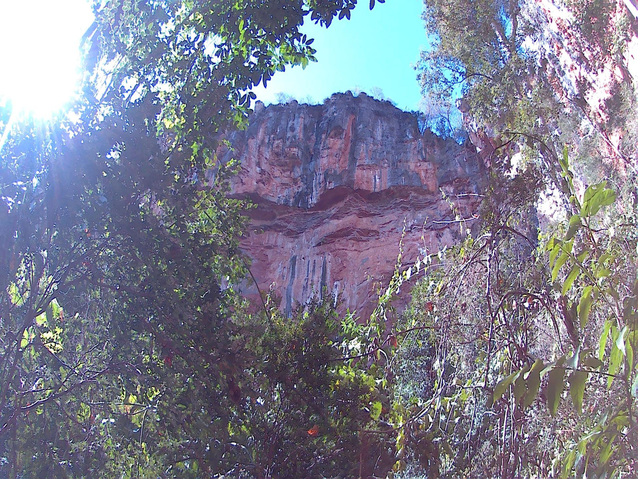 01 (11)