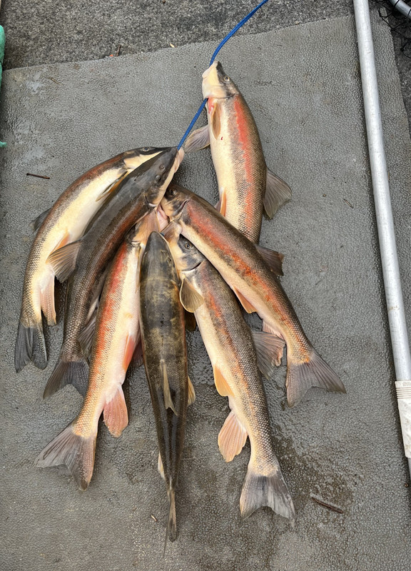 5835A91C-158B-4639-BCFA-B30392725080