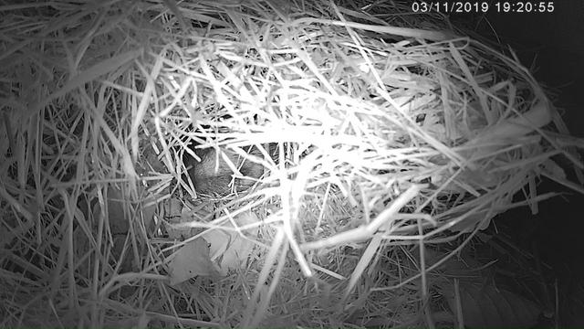 E5511503-4AD3-49D1-8D78-34E8AF9FDB38