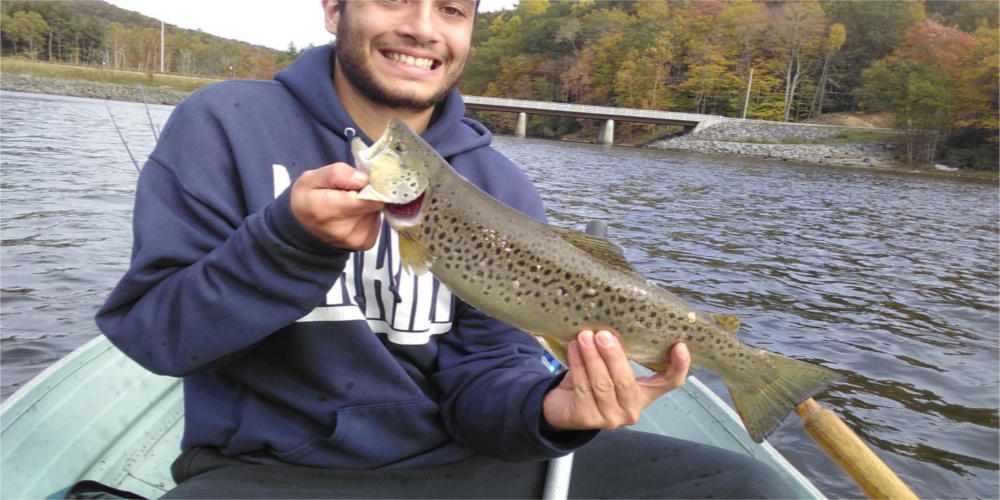 rondoutbrown