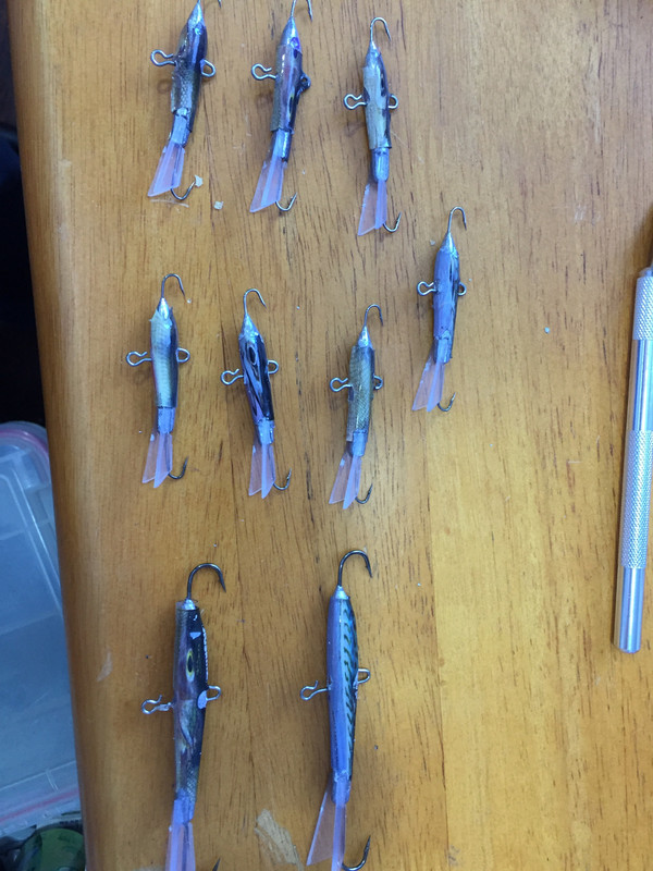 F136CF5D-FBAD-497F-9C7A-E93458114CBF