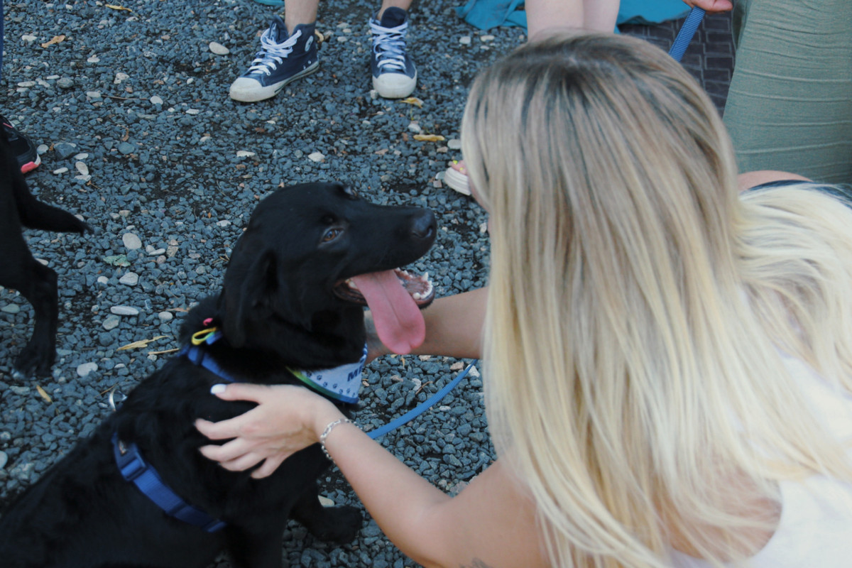 23-08-09_09-02-11-775