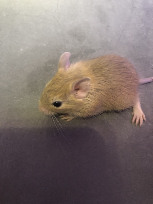 CF61CBE6-4356-4AEC-A6AA-E7E980AF58ED