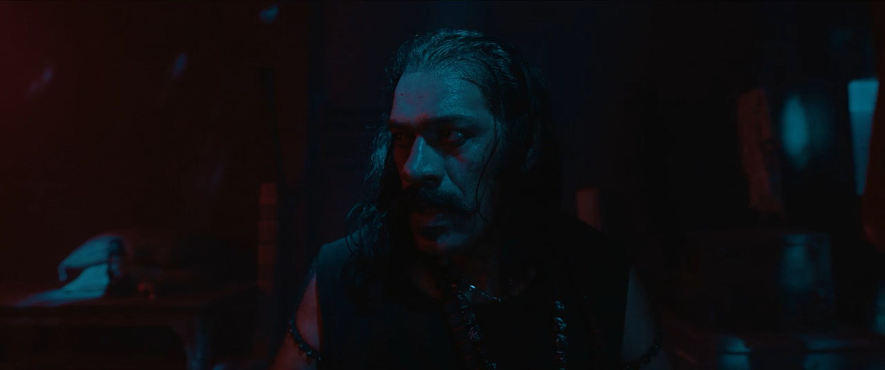 Bhool Bhulaiyaa 3 2024 WebRip [Hindi] 480p 720p 1080p ESub Screenshot