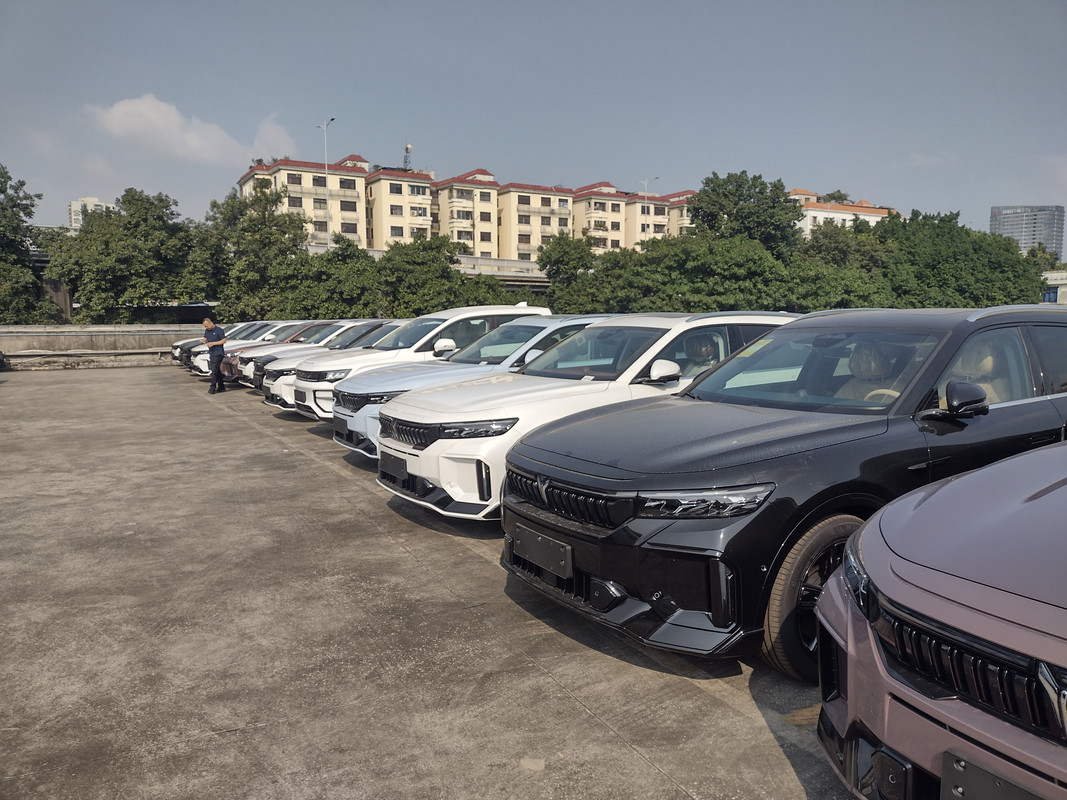 IMG-20231106-094740529-HDR.jpg