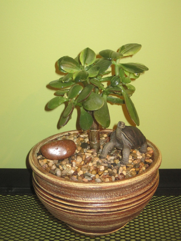 Хаммелс Гоуст 09.02.2023 г