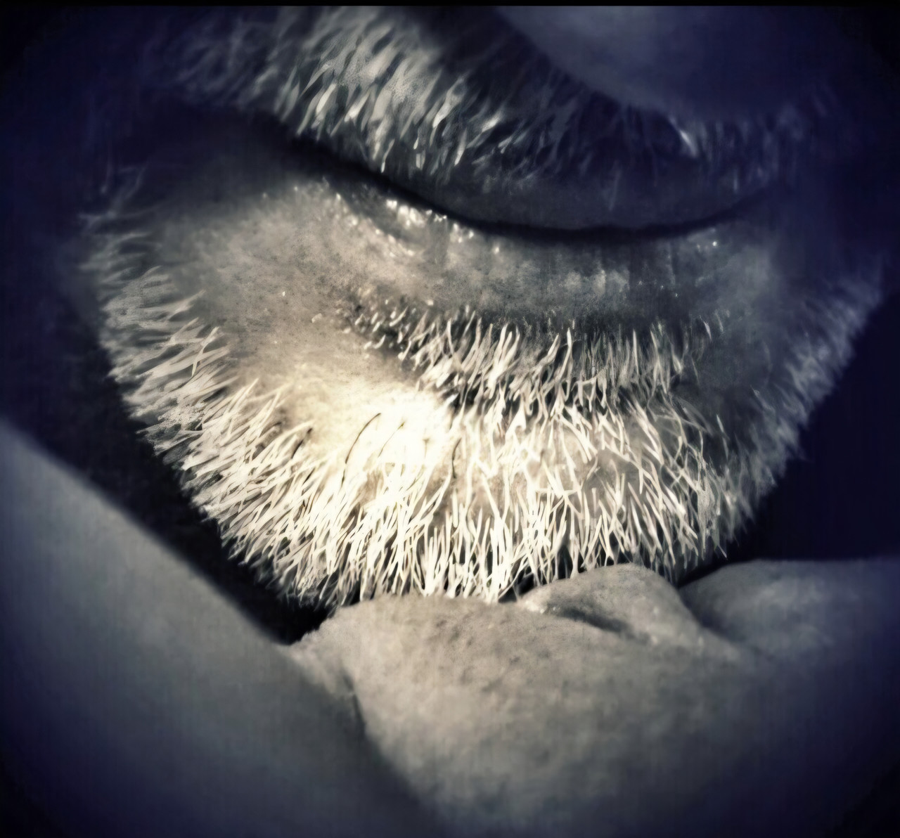 Tumblr l 357465983867698