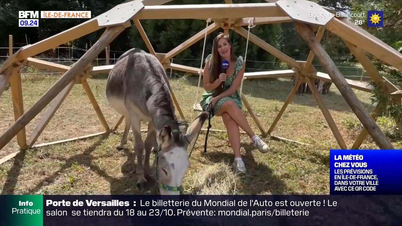 vlc-record-2022-08-13-16h22m53s-08.13 - 07.55.51-1.m4v-.mp4_snapshot_09.46_[2022.08.13_17.19.45]