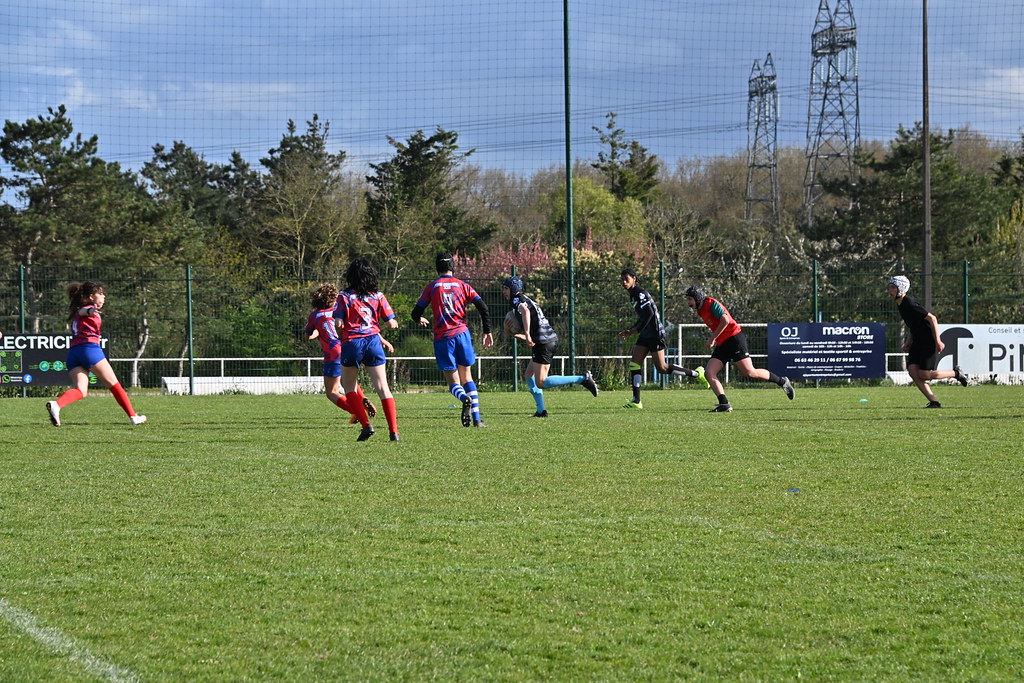 dsc-1843-55181697010-l