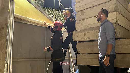 IMG-0308