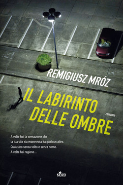 Remigiusz Mróz – Il labirinto delle ombre (2021) Remigiusz Mróz – Il labirinto delle ombre (2021)
