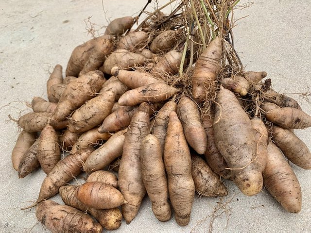 [Image: 1643394039706.jpg]