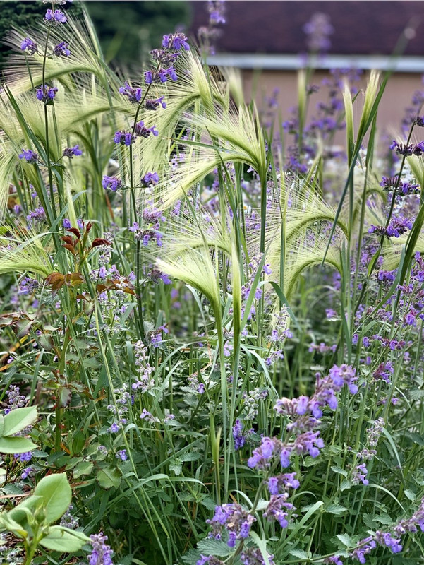 F13D8538-29D2-4A43-B884-33073160F744