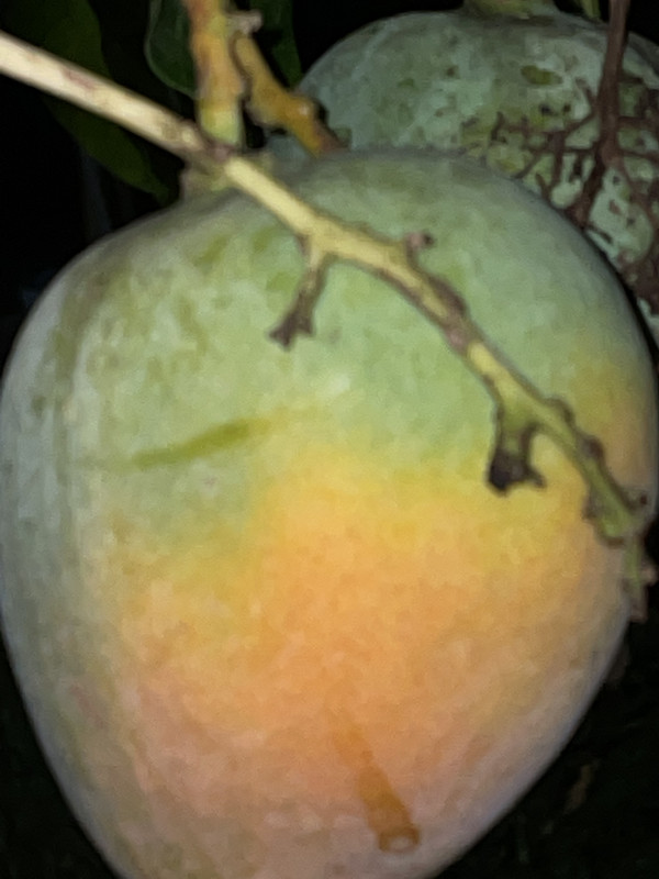 07DB3073-8180-4374-B938-E1A1CD6A2885