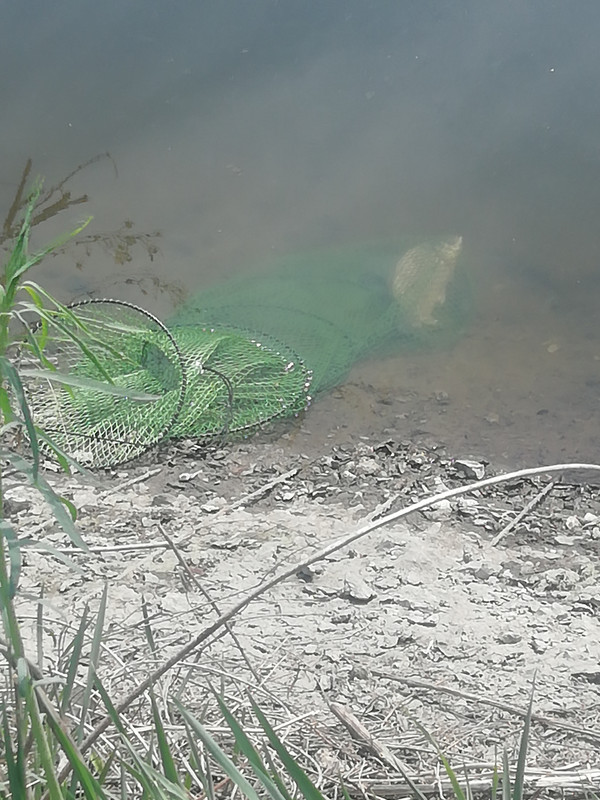 Изображение 1211