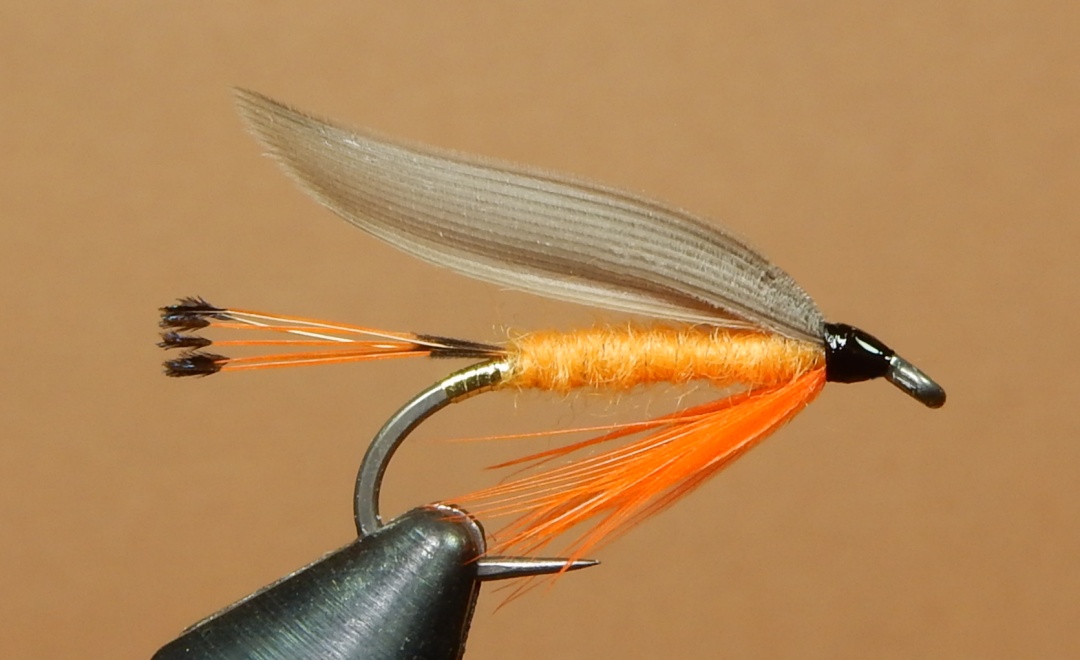 Wilson-Valla-Bates-1080.jpg