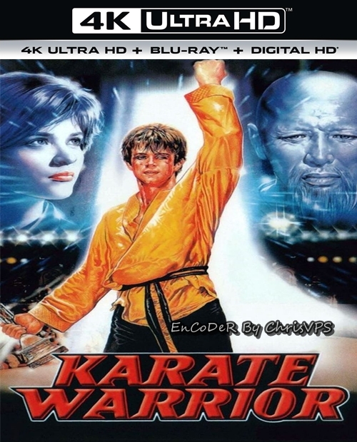 Wojownik karate / Karate Warrior (1987) MULTI.HDR.AI.UP.2160p.WEB.DL.AC3-ChrisVPS / LEKTOR i NAPISY