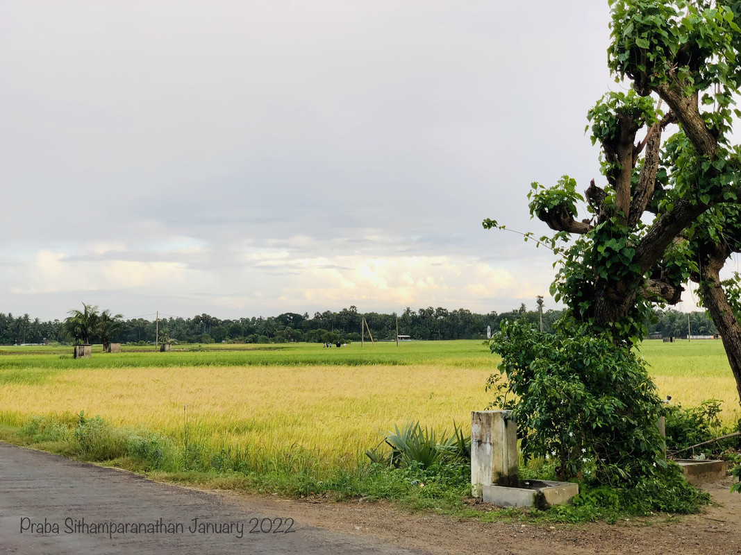 2-A3-B0-DEB-19-F8-4051-B8-A1-56-B6279-DD