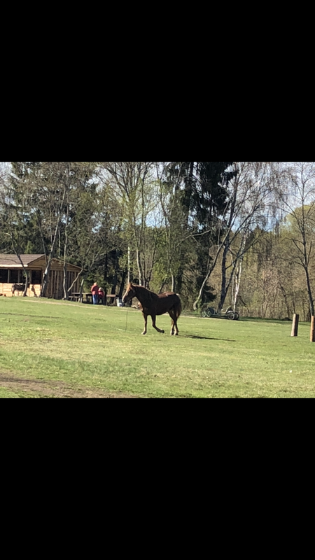 E833E089-E73E-4F4B-9CF1-435F438DF5E9