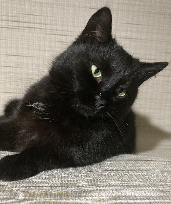 A82E3C22-6719-483D-9214-A552AA13FDD0