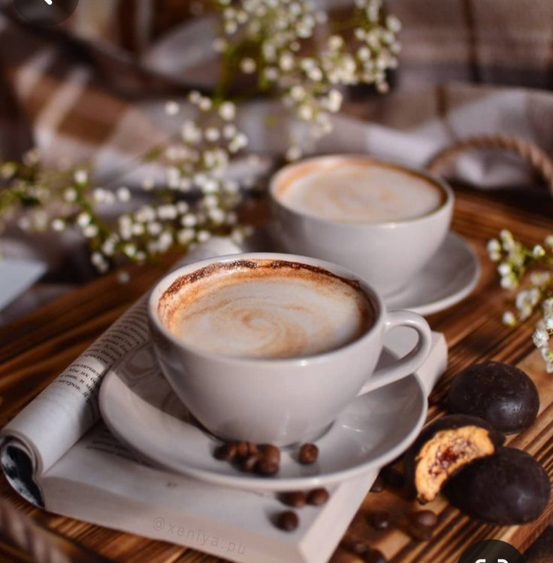 Screenshot_20240203_203336_Pinterest