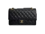 Chanel Bag [2+ styles]