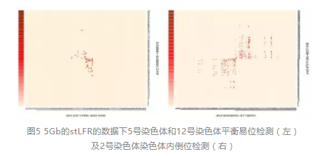 长分子DNA研究新方法stLFR展示出巨大潜力_6