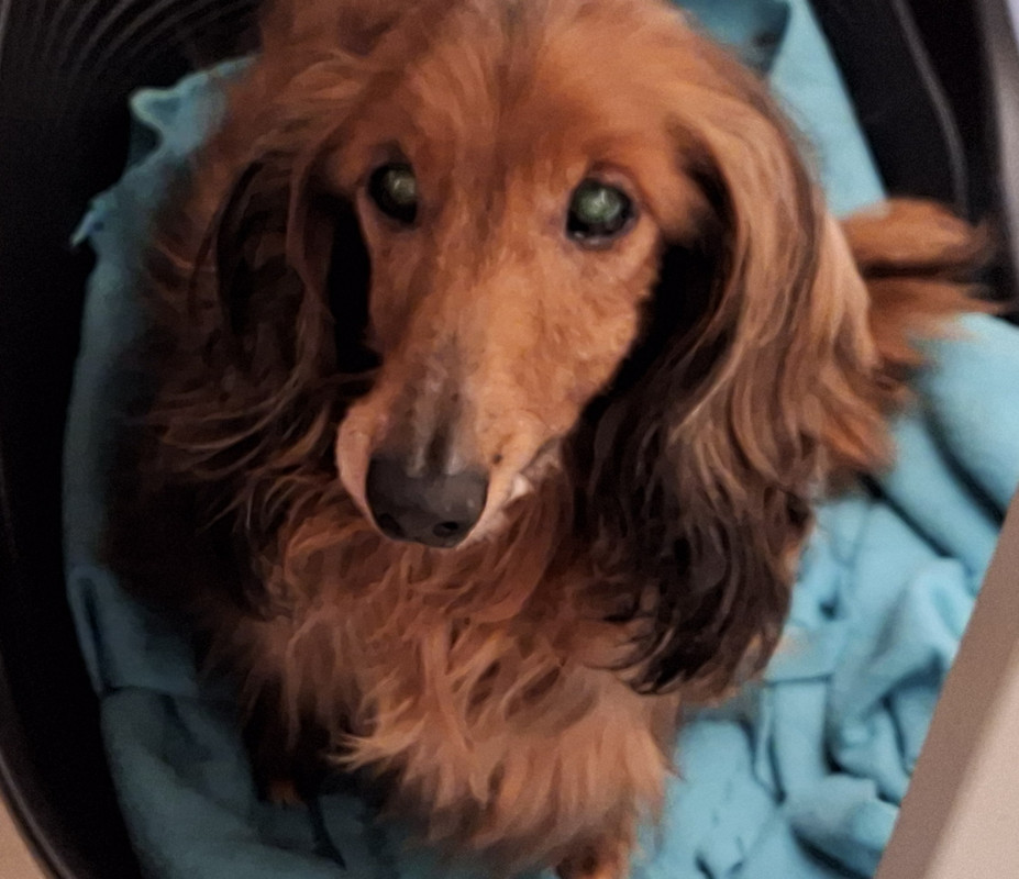 [Image: 20250107-184335.jpg]