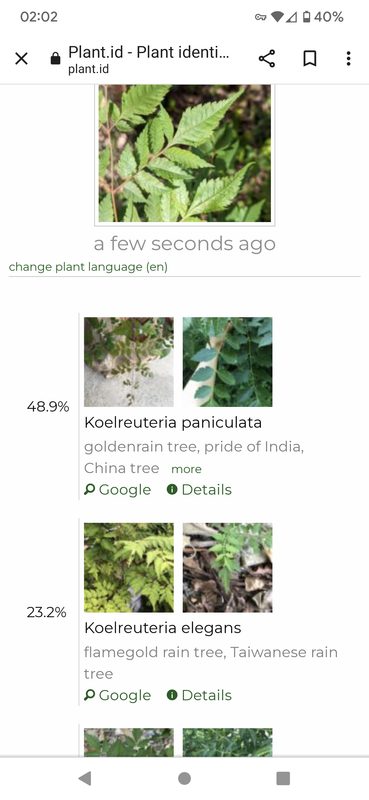 Screenshot_20230328-020212