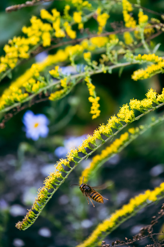 korea2024LRexport-37