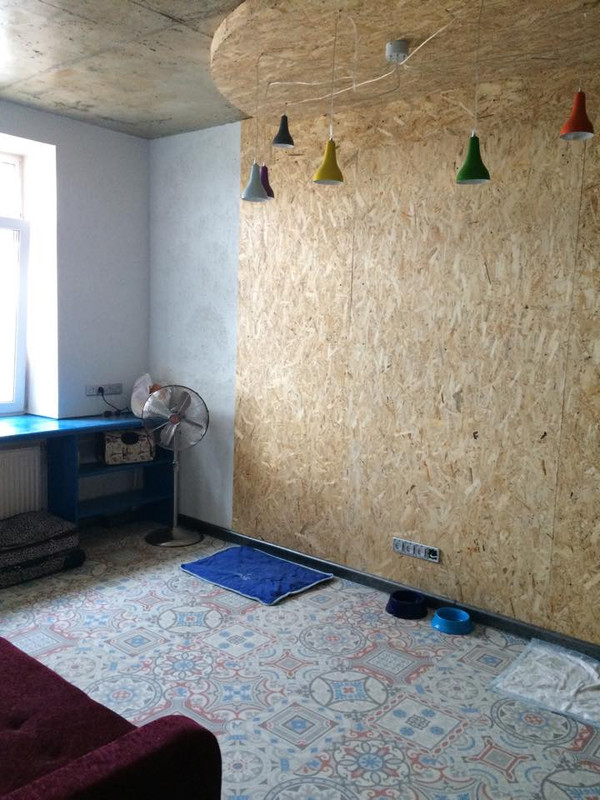 11903350_811942012256472_2050813606_n (1)